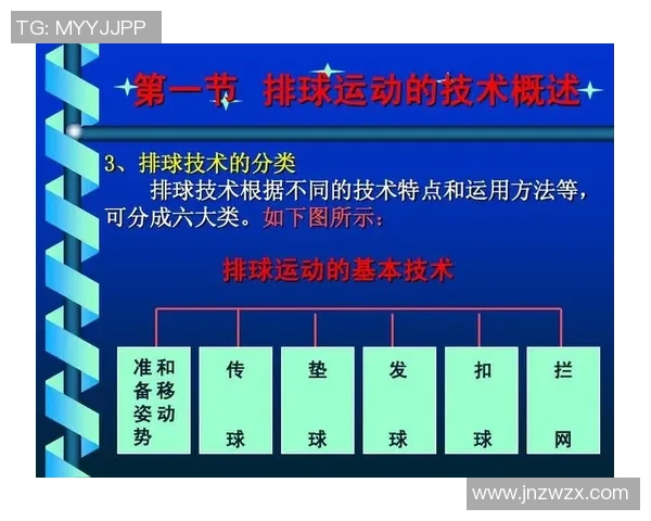 西安排球队进攻革新全解析战术变革与球员适应性研究 西安排球队进攻革新全解析战术变革与球员适应性研究